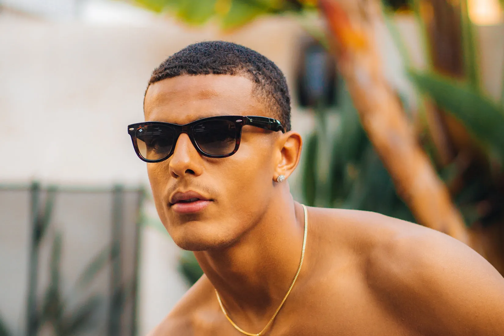 Foldies Polarized Folding Classics V²