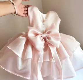 Ivy Organza flower girl dress bright blush