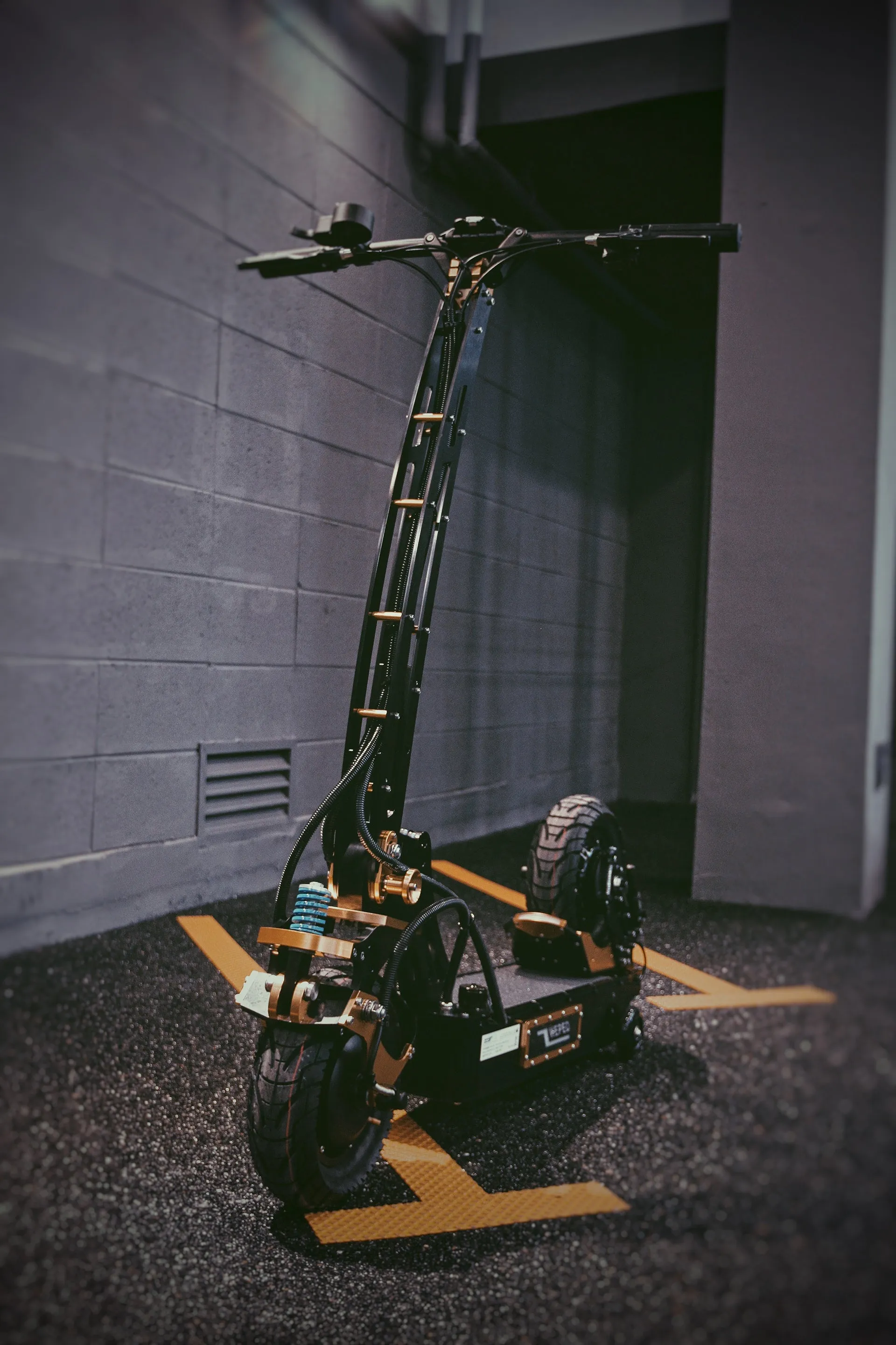 WEPED Fold