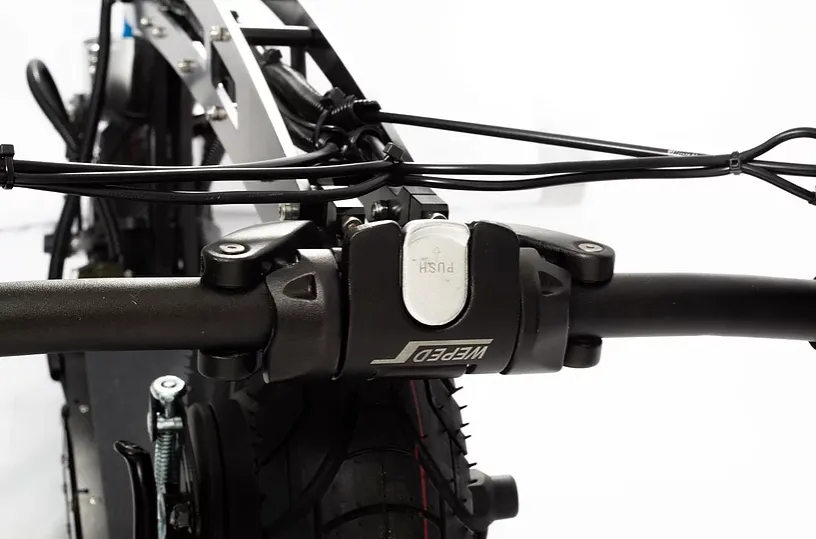 WEPED Fold
