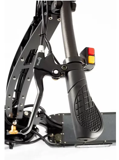 WEPED Fold