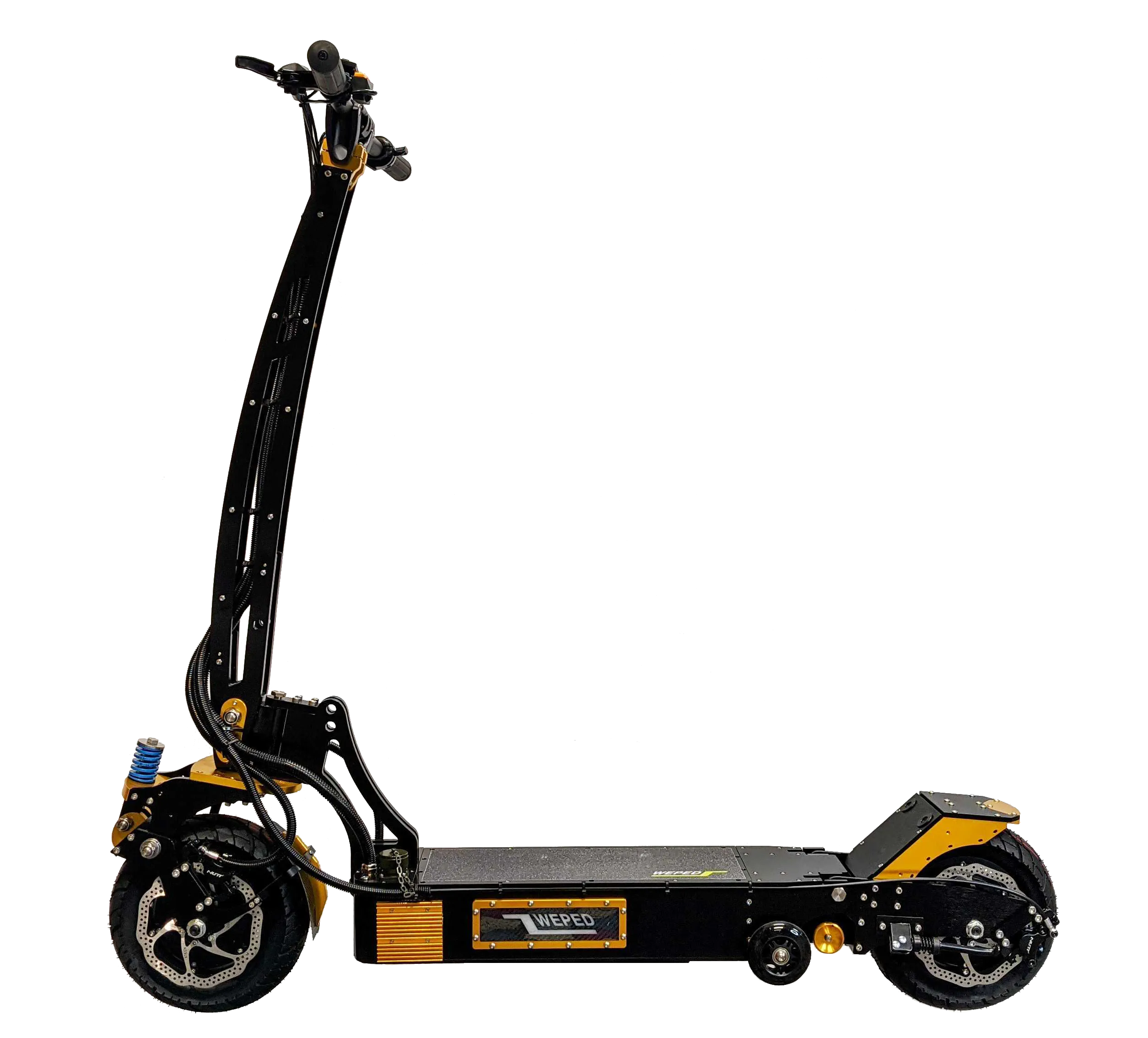 WEPED Fold